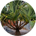 Paul Grant profile picture